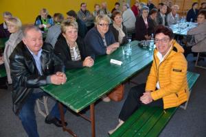 Srečanje upokojencev in drugih starejših iz občin Grosuplje, Ivančna Gorica in Dobrepolje 2017 5